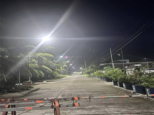 25 sets of 60-watt solar-powered integrated street lights
